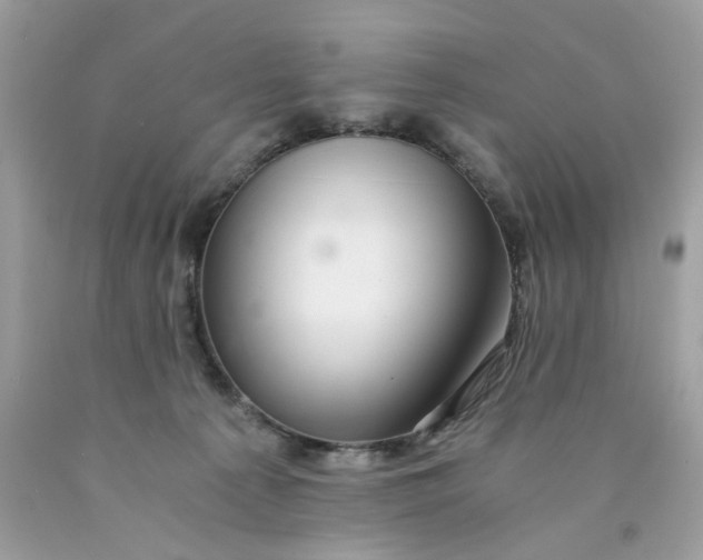 X0000089970225200707202017