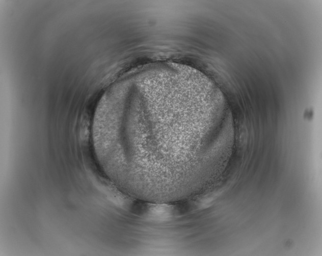 X0000089970226200707202017