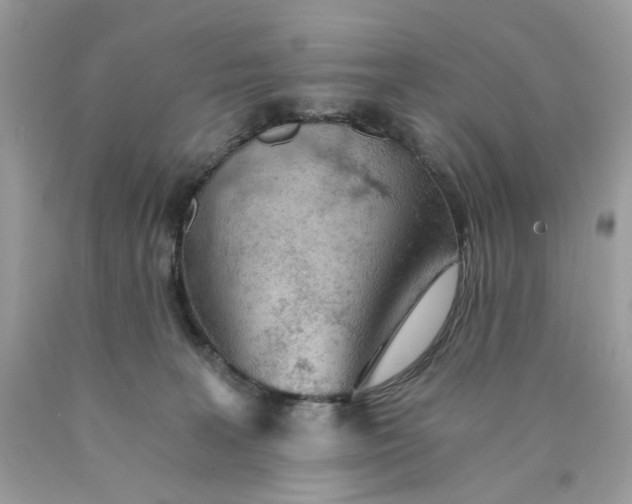 X0000089970227200707202017