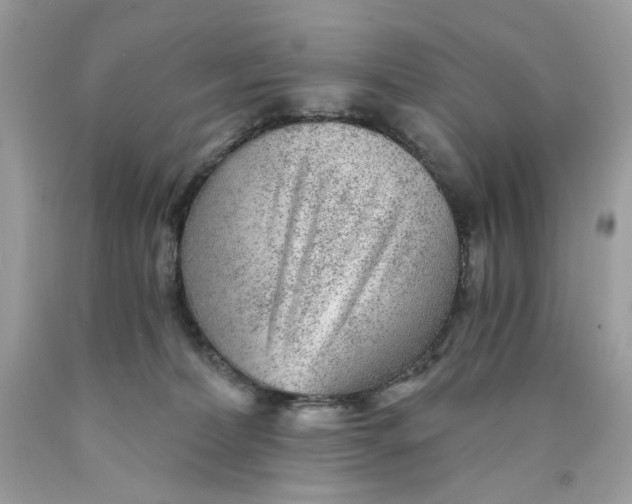 X0000089970228200707202017