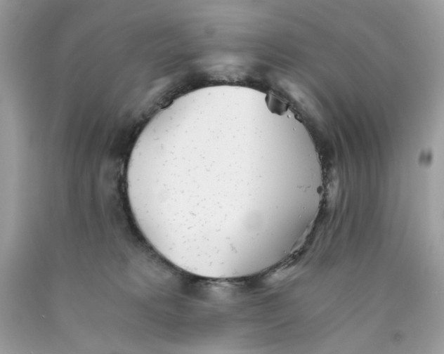 X0000089970229200707202017