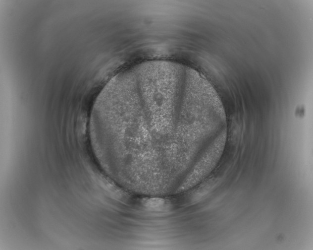 X0000089970230200707202017