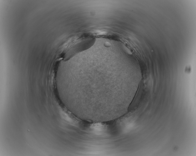 X0000089970231200707202017