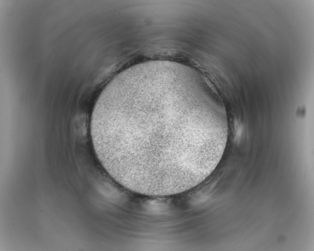 X0000089970232200707202017