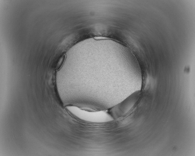 X0000089970233200707202017