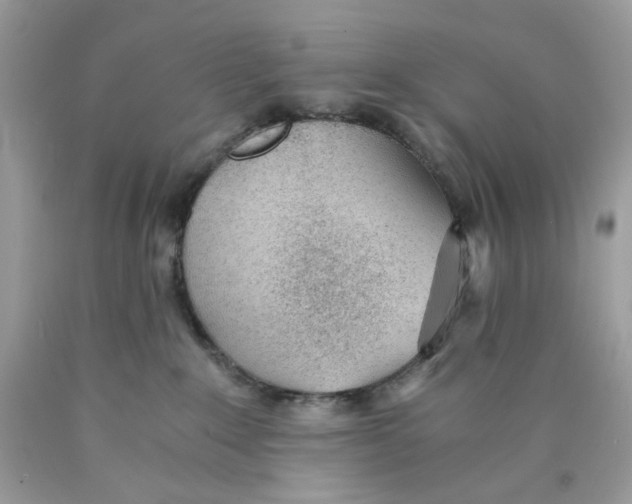 X0000089970235200707202017