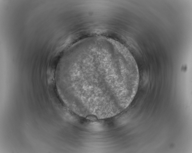 X0000089970236200707202017