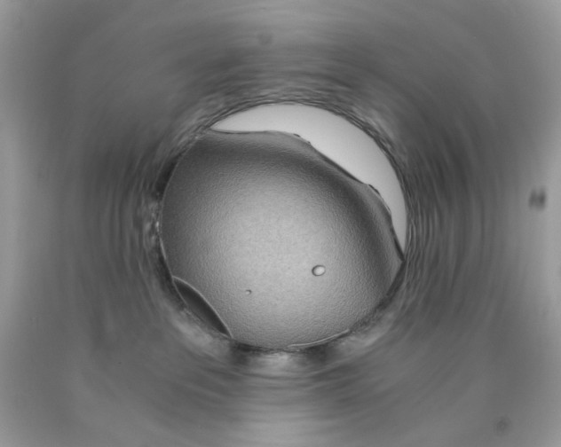 X0000089970237200707202017