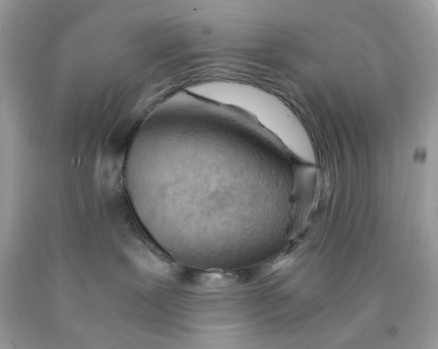 X0000089970239200707202017