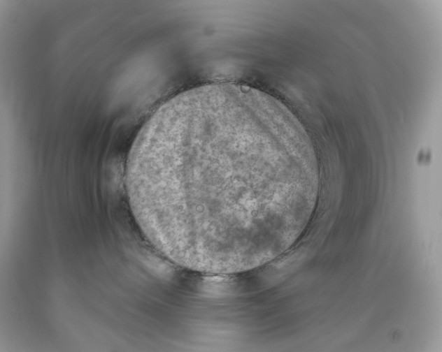 X0000089970240200707202017