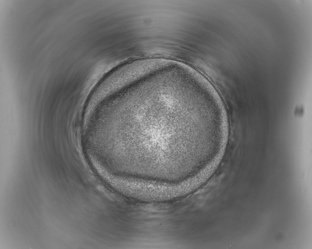 X0000089970241200707202017