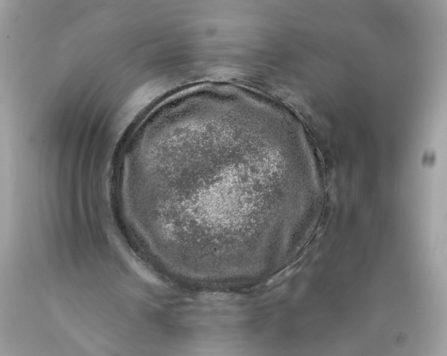 X0000089970242200707202017