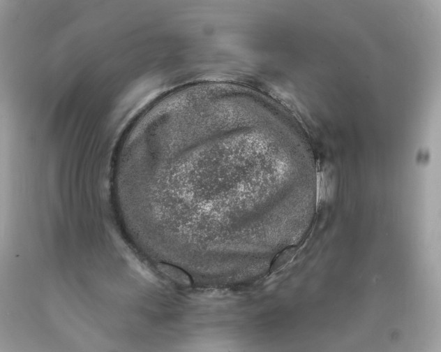 X0000089970243200707202017