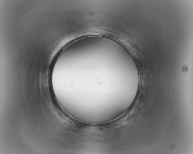 X0000089970244200707202017