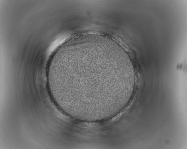 X0000089970245200707202017