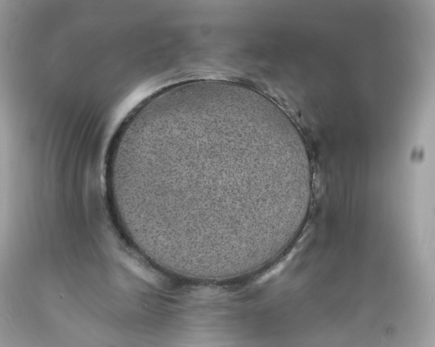 X0000089970246200707202017