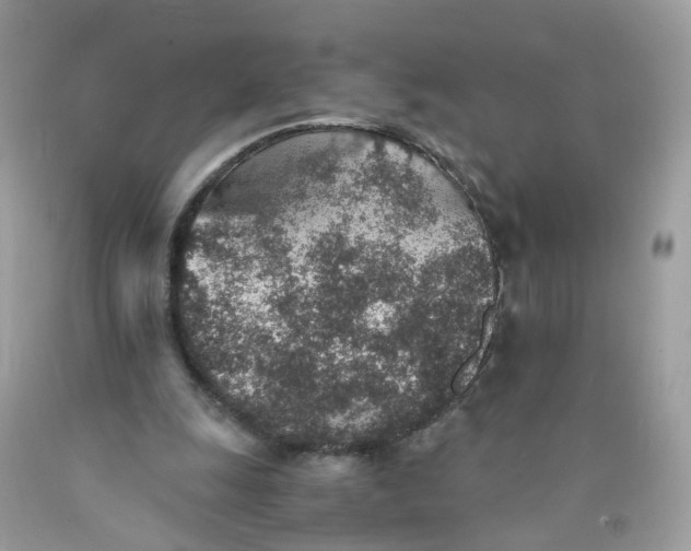 X0000089970247200707202017