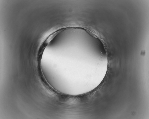 X0000089970248200707202017