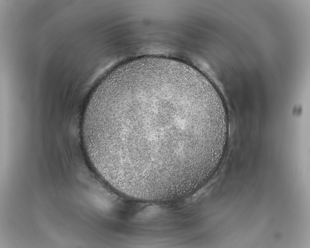 X0000089970249200707202017