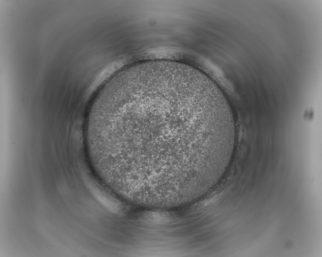 X0000089970250200707202017