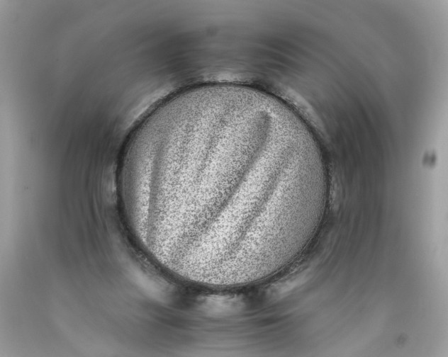 X0000089970251200707202017