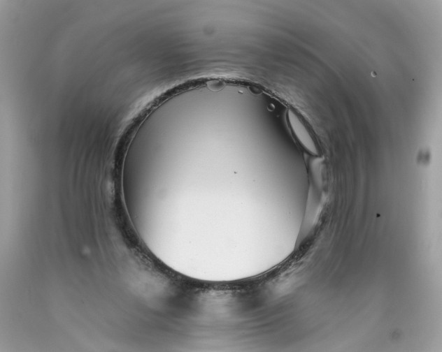 X0000089970252200707202017