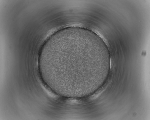 X0000089970253200707202017