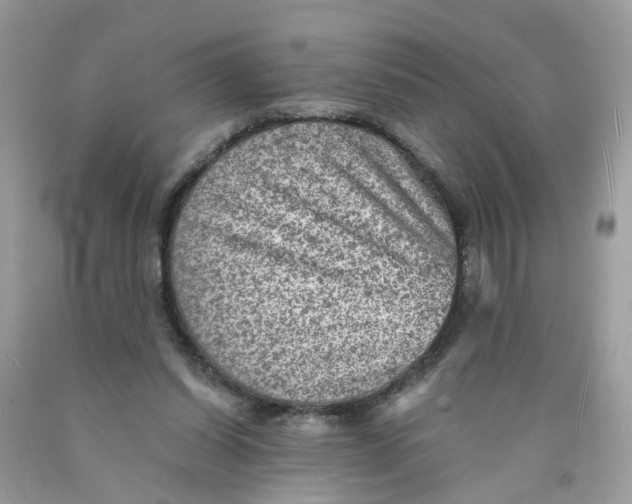 X0000089970254200707202017