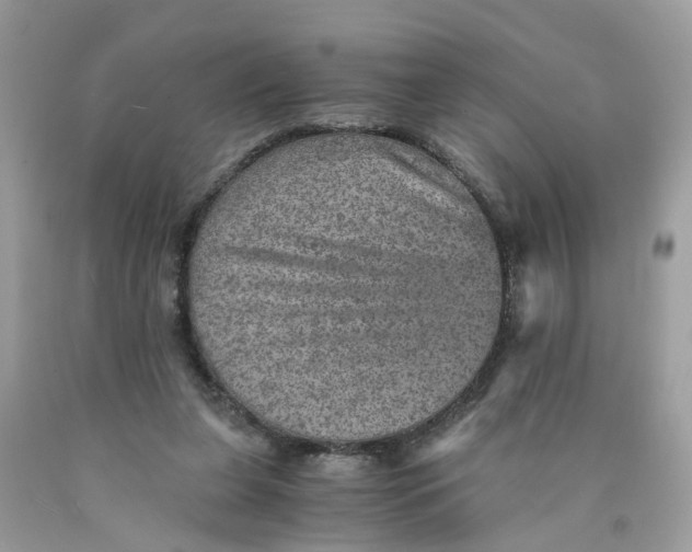 X0000089970255200707202017