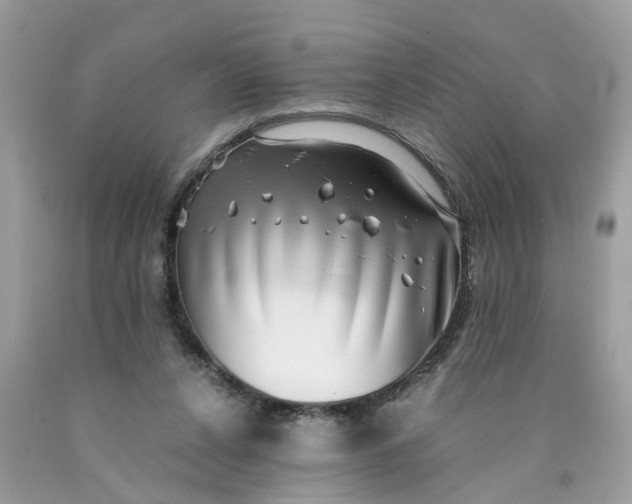 X0000089970256200707202017