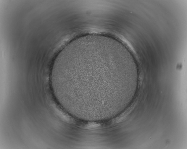 X0000089970257200707202017