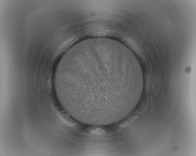 X0000089970258200707202017