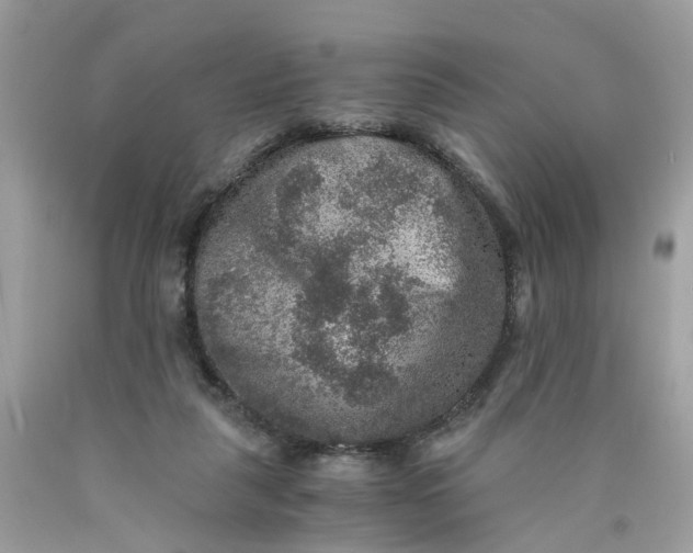 X0000089970259200707202017