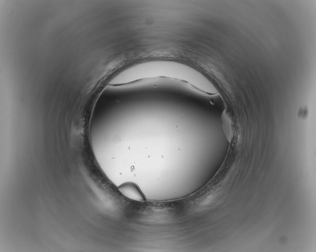 X0000089970260200707202017