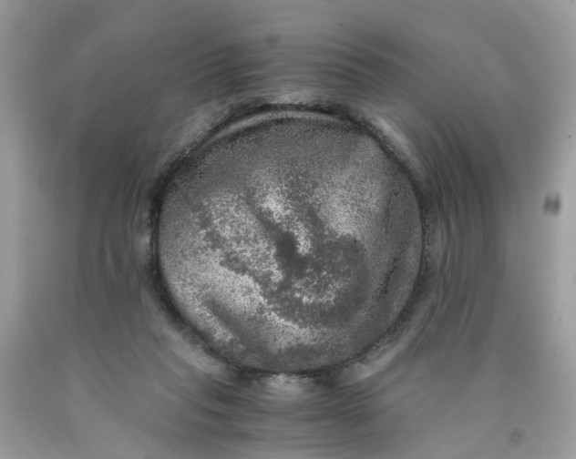 X0000089970261200707202017