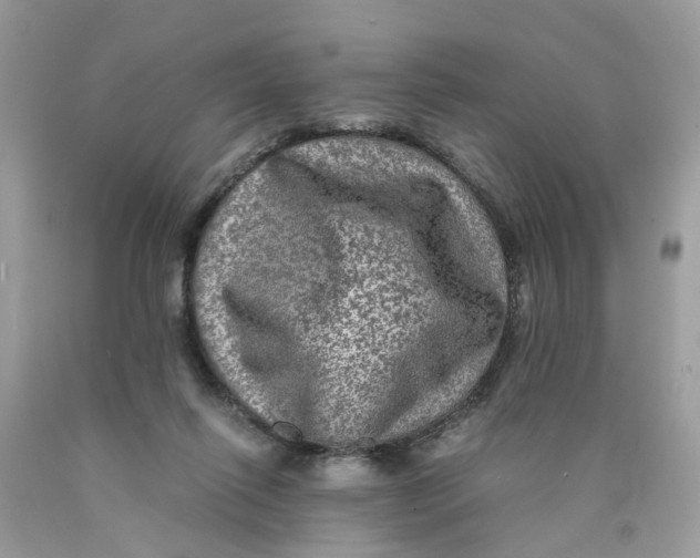 X0000089970262200707202017