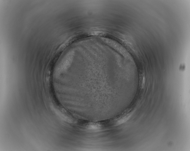 X0000089970263200707202017