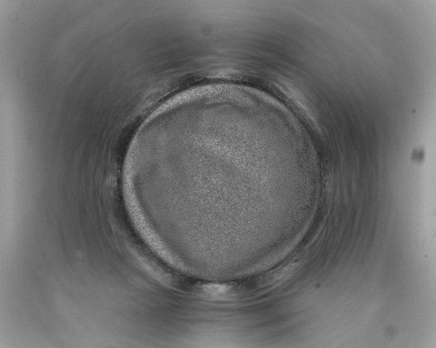 X0000089970265200707202017