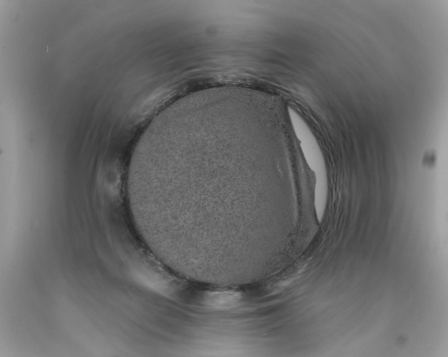 X0000089970266200707202017