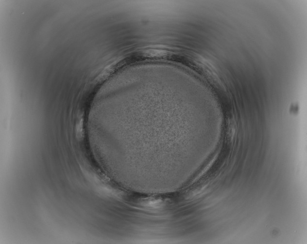 X0000089970267200707202017