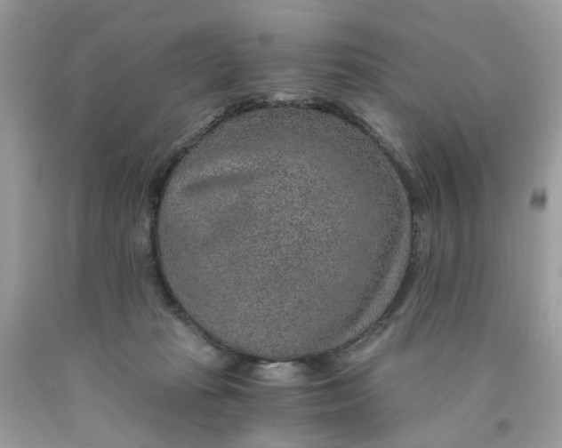 X0000089970269200707202017