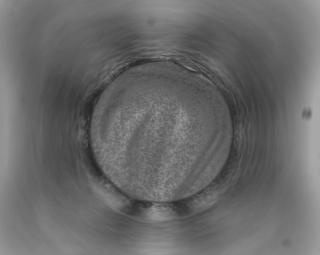 X0000089970270200707202017