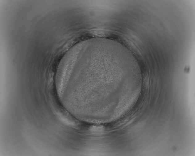 X0000089970271200707202017