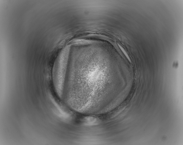 X0000089970272200707202017