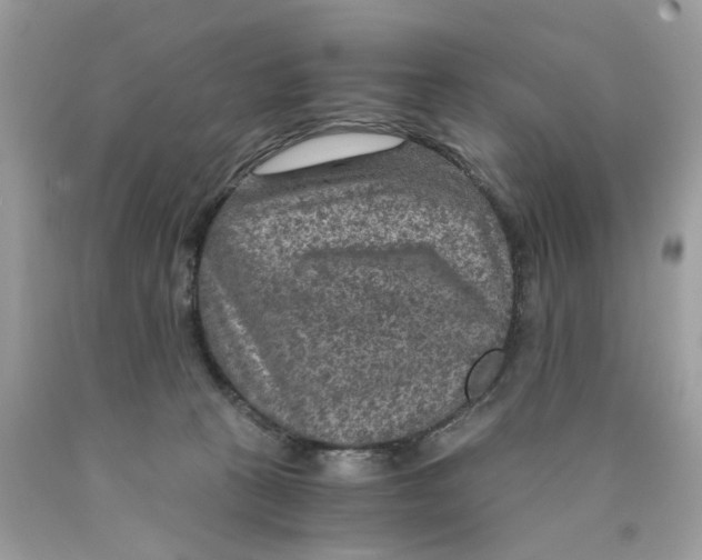 X0000089970273200707202017