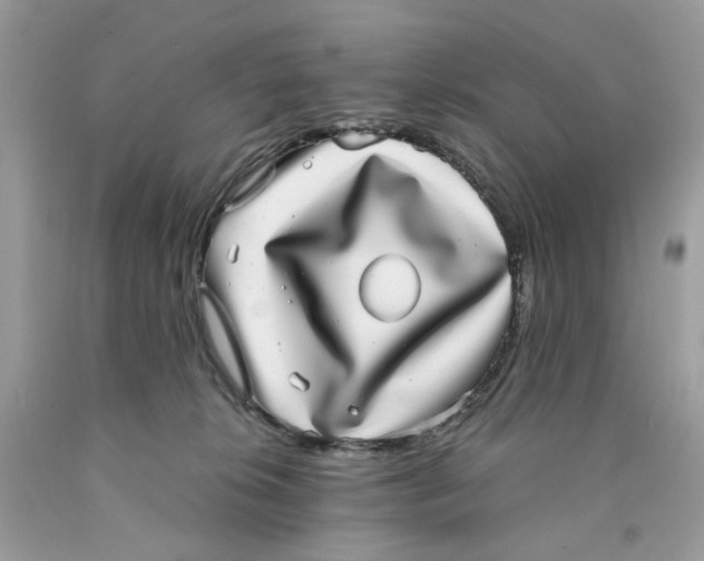 X0000089970276200707202017