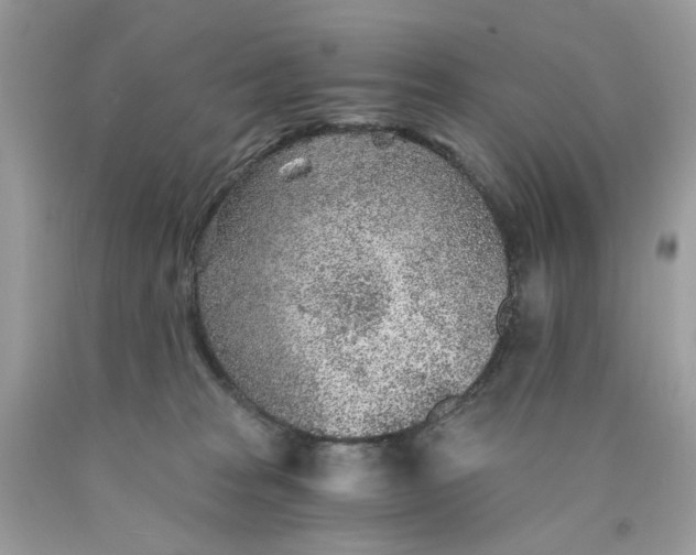 X0000089970277200707202017