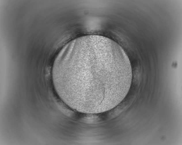 X0000089970278200707202017