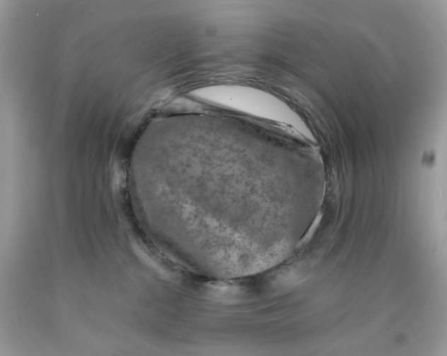 X0000089970284200707202017