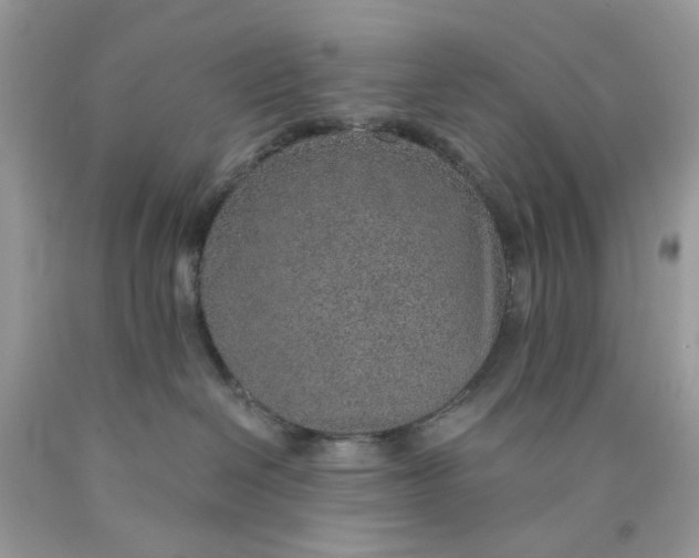 X0000089970286200707202017